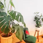Borowka Appartement *