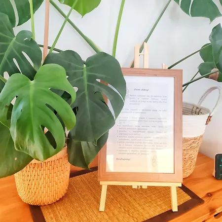 Borowka דירה ידלינה-זדרוי