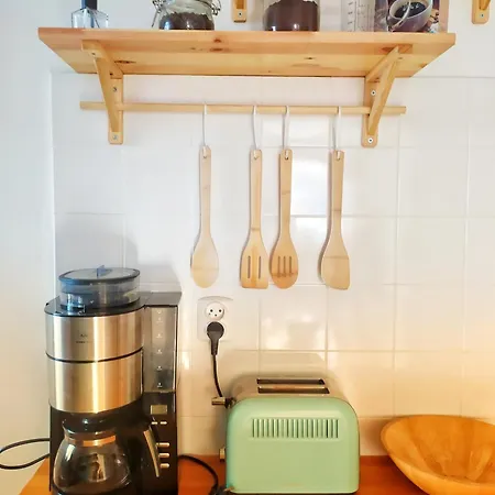 Apartament Borowka *
