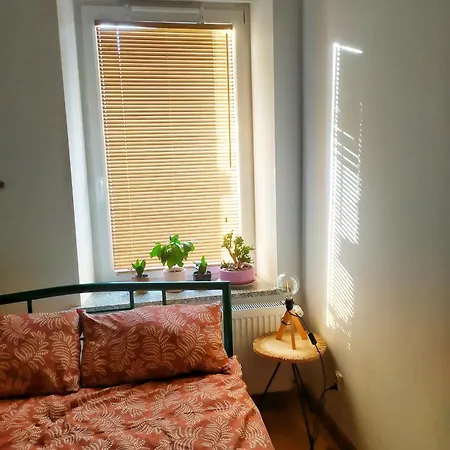 Borowka * ידלינה-זדרוי