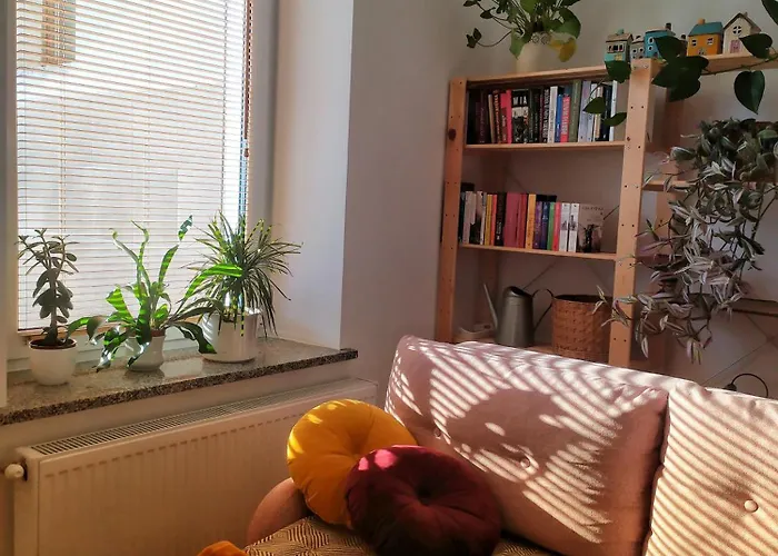 Borowka * Jedlina-Zdroj