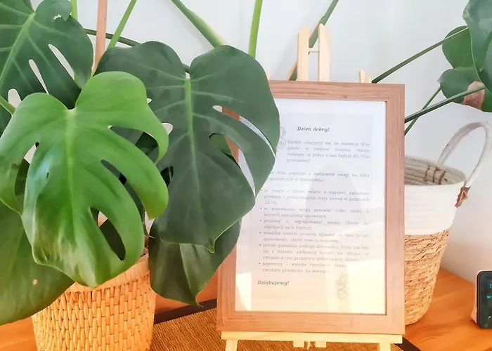 Borowka 아파트 예들리나-즈드로이