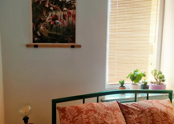 Borowka * 예들리나-즈드로이