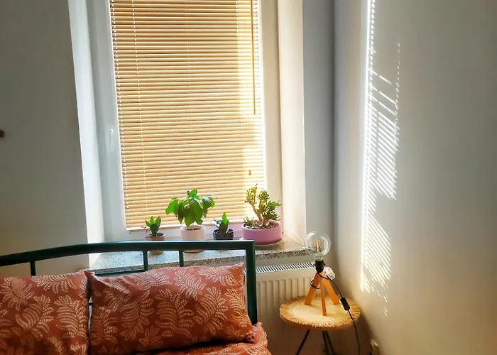 Borowka * 예들리나-즈드로이